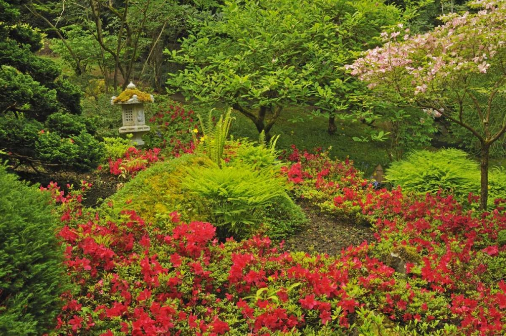 Canada, BC, Vancouver Lush Green Garden art print by Mike Grandmaison for $57.95 CAD